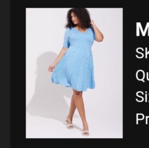 Torrid size 3 skater dress